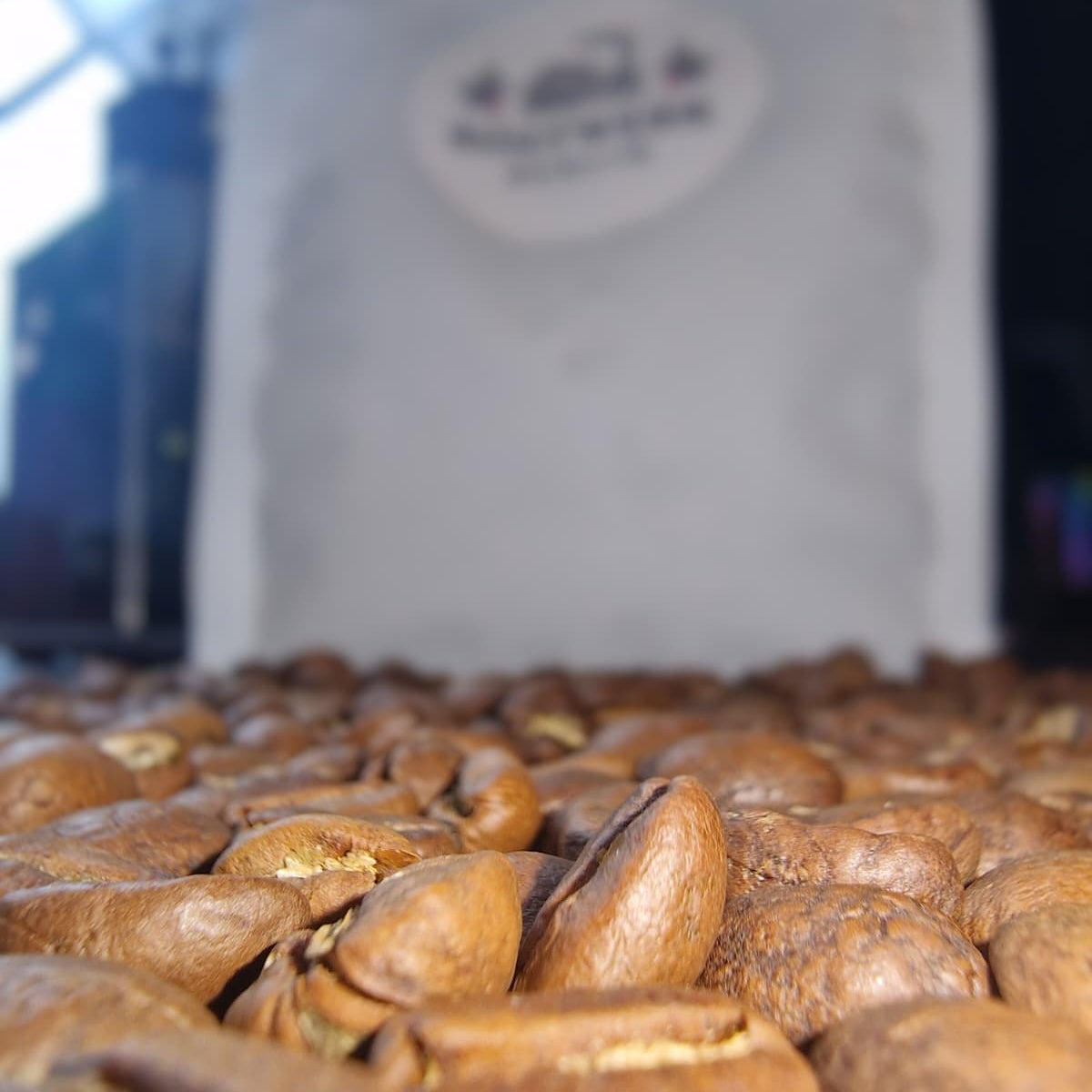 Honduras (Filter) - Honig, Apfel, Zimt