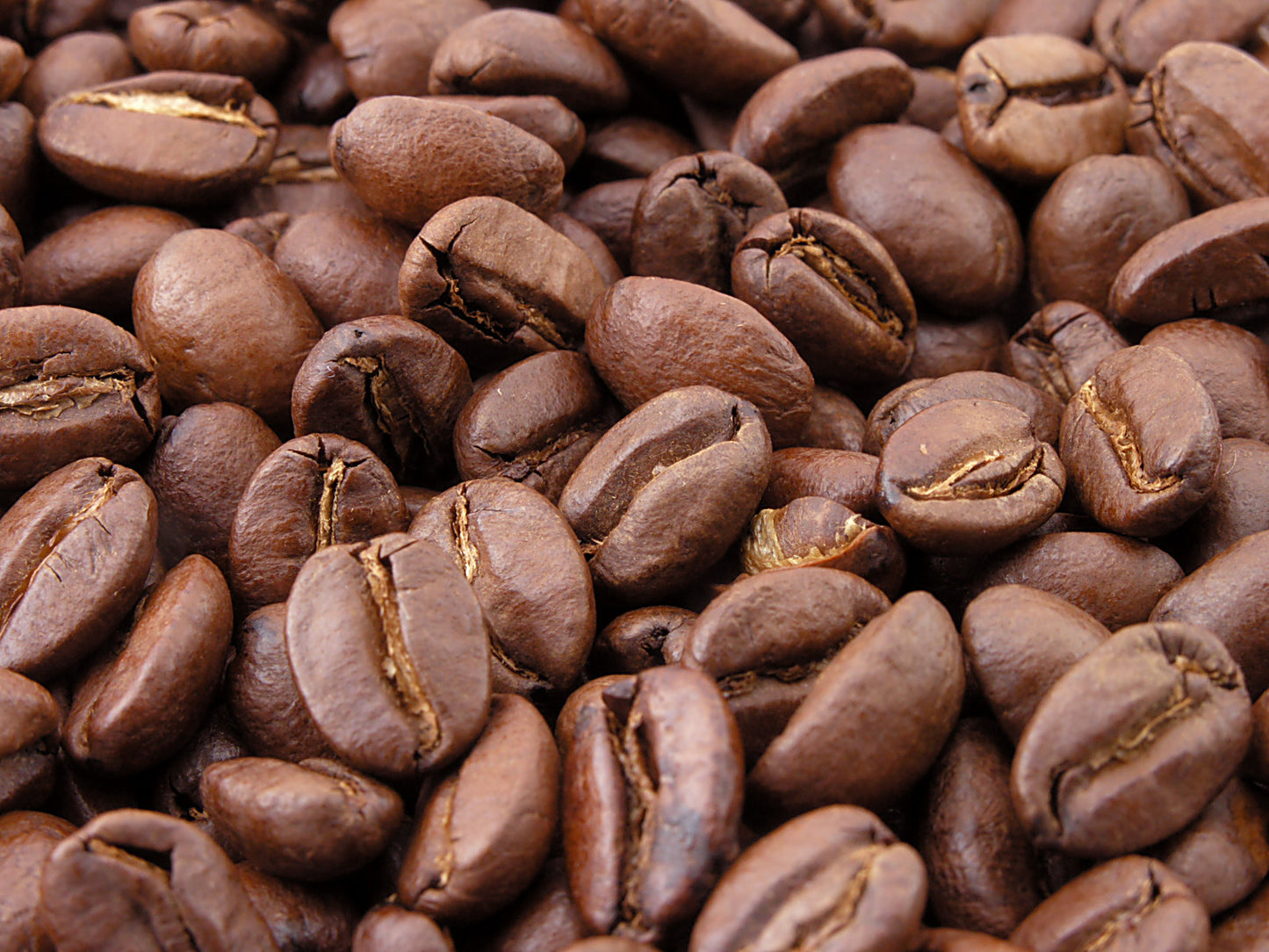 Honduras Single Origin
